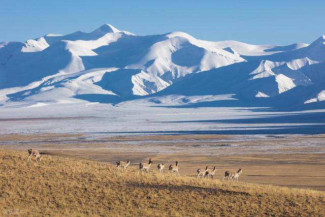 别拿生命开玩笑，中国四大无人区到底有多吓人？可能进去就出不来