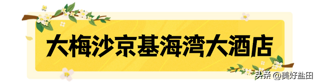 梅沙国庆终极攻略！这些福利正在刷屏→
