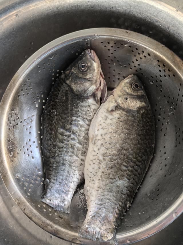 有人买菜却没菜吃	，家庭主妇生病才知，伺候人真的是一门学问