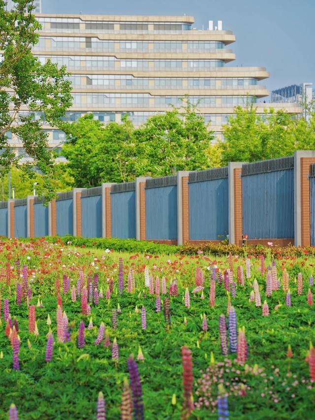 合肥下一个主城或将诞生？不是庐江、巢湖，堪称最具黑马相的城区