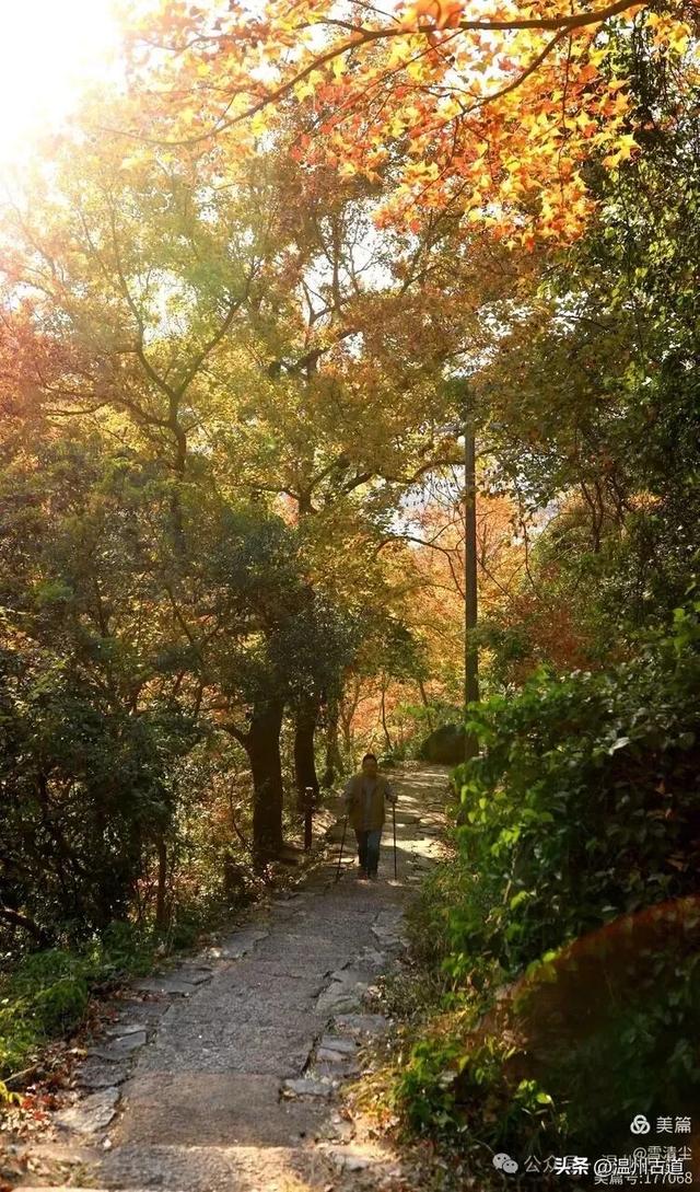 现场报道：这条离市区很近的著名红枫古道已枫情万种，徒步正当时