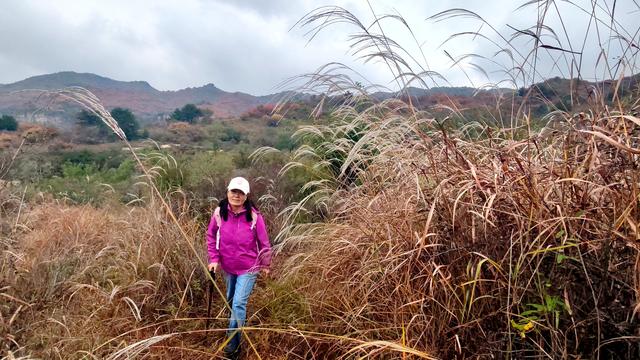 雾锁风挡山，红叶引客来
