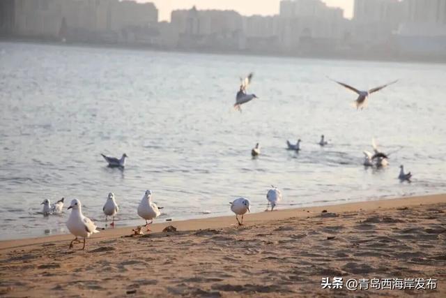 来西海岸，跨年就要这么玩！