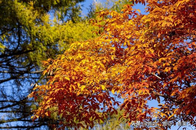 秋天西安那些地方值得去旅游!