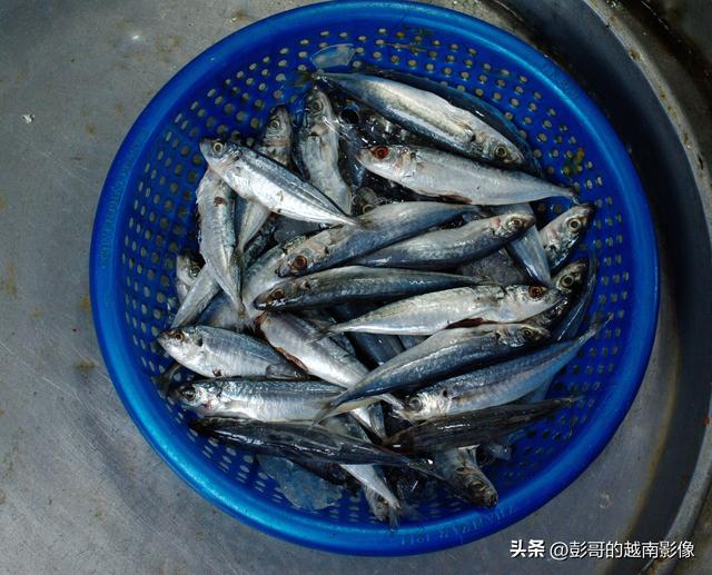 出差邦美蜀
