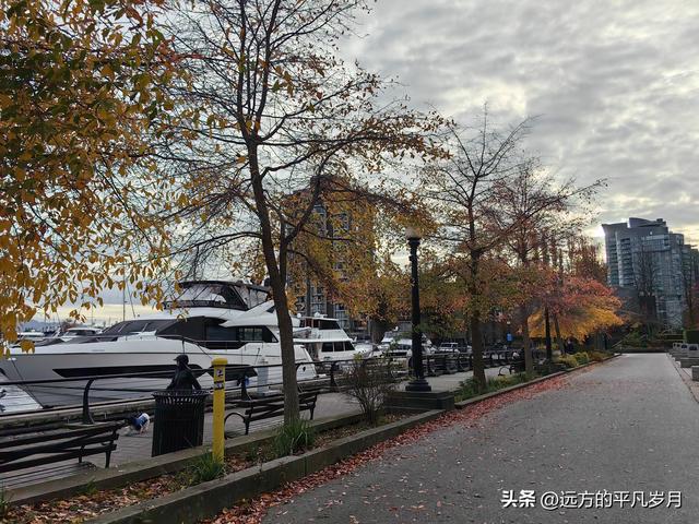 温哥华游记（一）