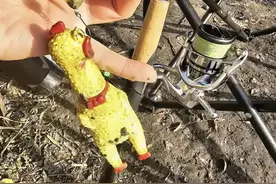 盘点钓鱼佬那些年钓到的奇葩渔获有哪些！图片