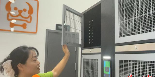 遛狗购物两不误 武汉一超市推出免费“宠物寄存”