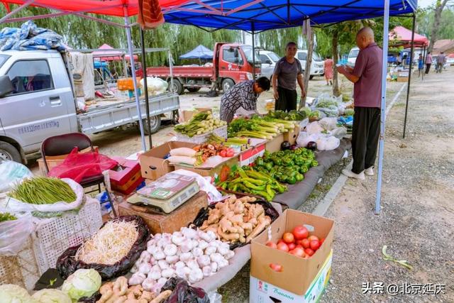汇聚两地风味！延庆下营大集原来这么好逛