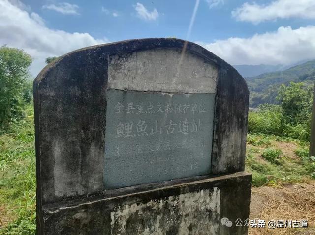 这里曾有最古老的水运历史、最繁华的商埠老街和新石器时代遗址！
