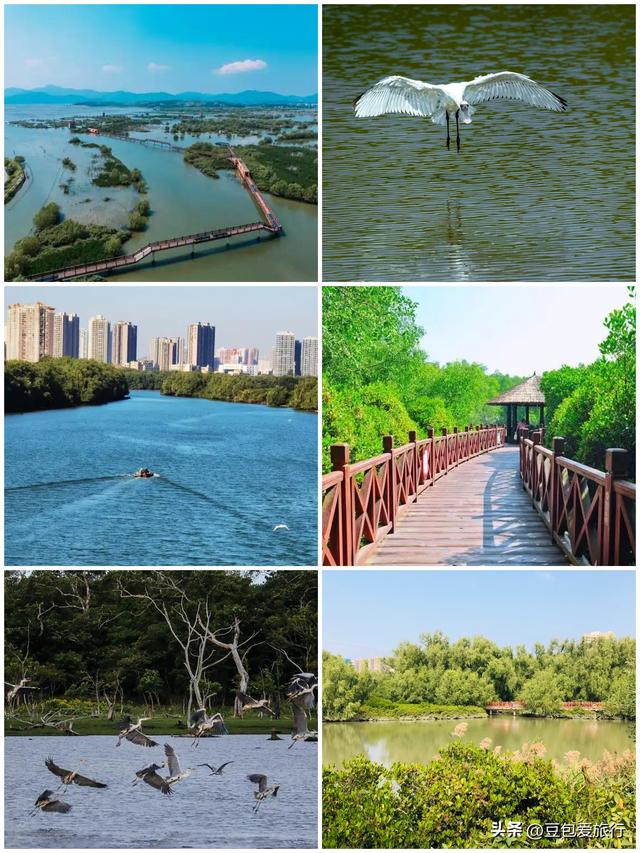 畅游岭南古郡惠州——山水人文美食全攻略