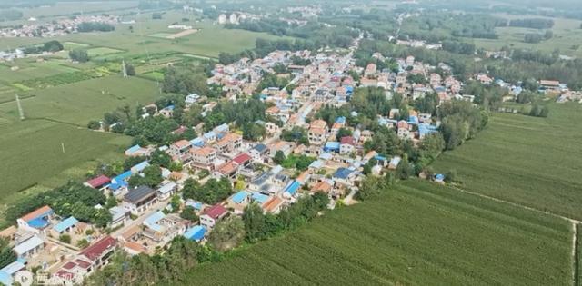 魅力曹县楼庄镇