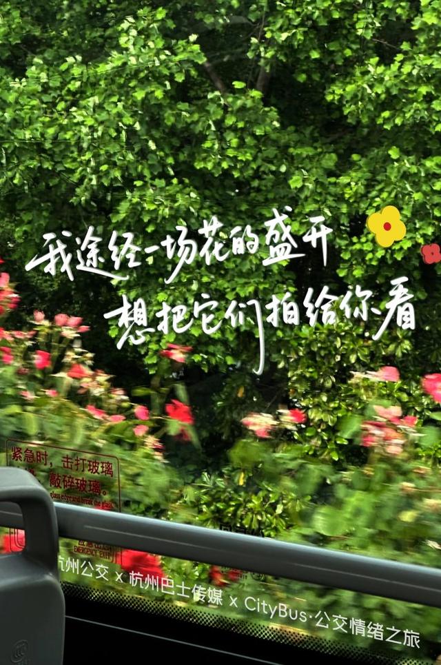 “杭州的温柔，就在这些不经意间的人间注脚里。”
