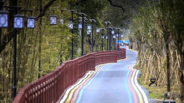 多彩阳山·每日一景｜美丽滨水绿道