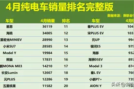 疲软！4月纯电车销量完整排行：1-195名，海鸥亚军，Model 3滑至17图片