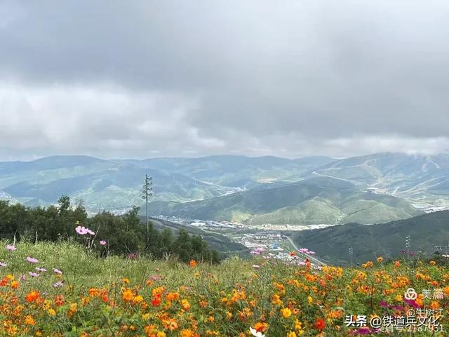 牛树江||云雾山顶的隔空投送