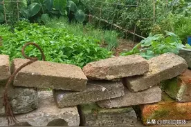 谁在背后操控我们的手机？随意跳转第三方平台，关不掉，惹人烦图片