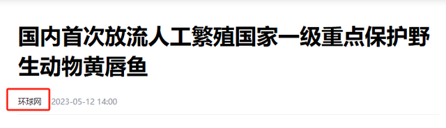 鳘鱼胶的价格1800一斤 鲮鱼胶多少钱一斤