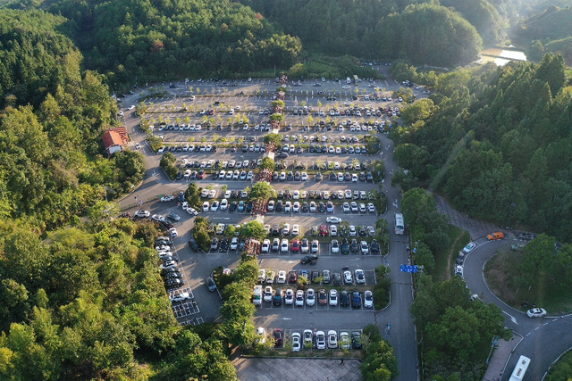 春来武夷 马上有福 | 这份“茶味中国年”攻略请收好