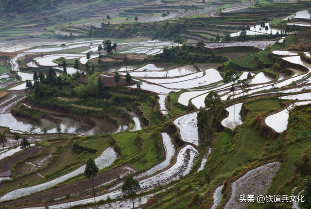 陈德明 || 雾锁层峦隐翠微，银带千叠映朝晖—摄于浙江 温州 永嘉茗岙