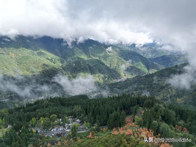 四川行(73)什邡红枫岭徒步到钟鼎寺