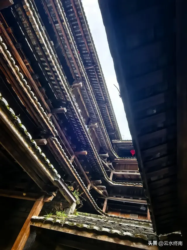 从厦门如何到土楼旅游？看看这些“槽点”与“亮点”，旅行不踩坑