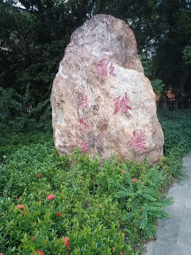 广东再行记之二十七 在广州白云火车站返京的列车上