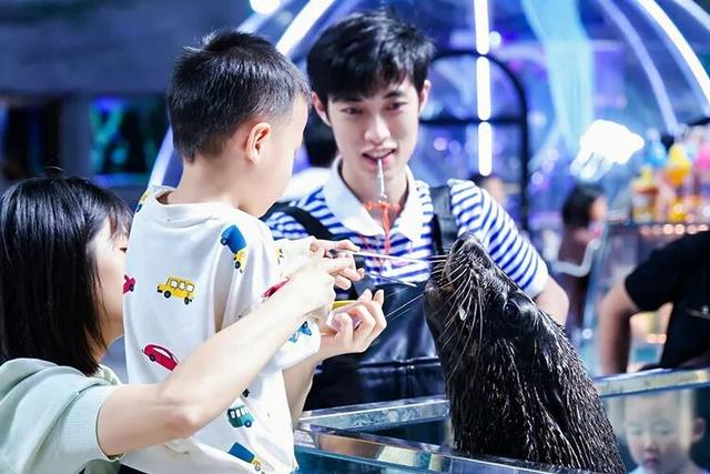 跟着上合马游昆明|跑友注意！这些景区免票！