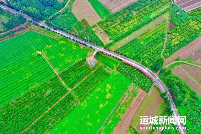 黄河一号旅游公路平陆段：层林尽染黄河岸