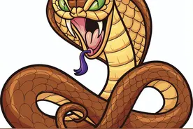 浙江“长眉怪蛇”钻家中，卡下水道动弹不得，外号蛇界“街溜子”图片