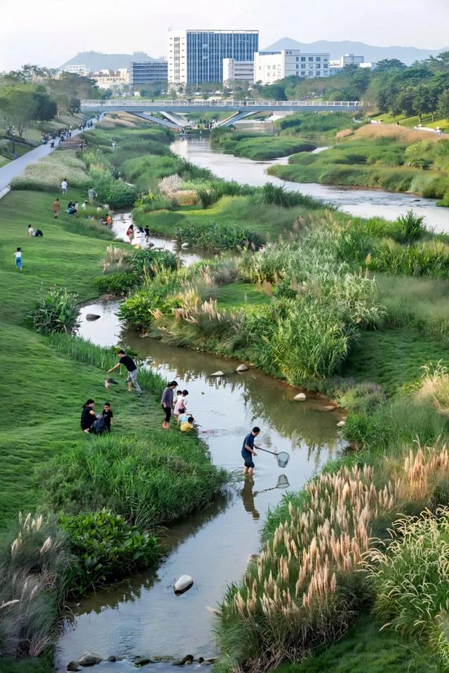 大美湿地“深”有诗意