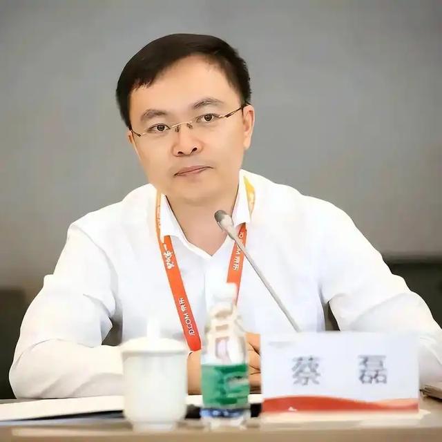世道不公！蔡磊妻子不再隐瞒，自曝真实处境，6岁儿子成"牺牲品"