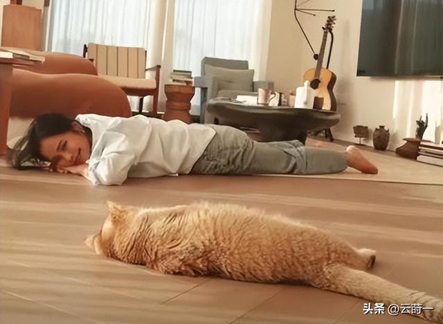 62岁韦唯现状，家暴前夫离世，车祸脊柱断裂	，3个混血儿子已回国