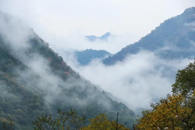 住下来，才懂秦岭的秋：留坝小城5日慢行指南