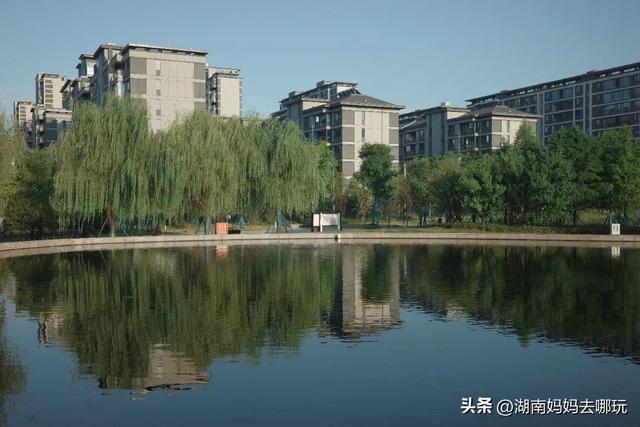 长沙人有自己的“东方明珠”？初秋，带娃往高处去！