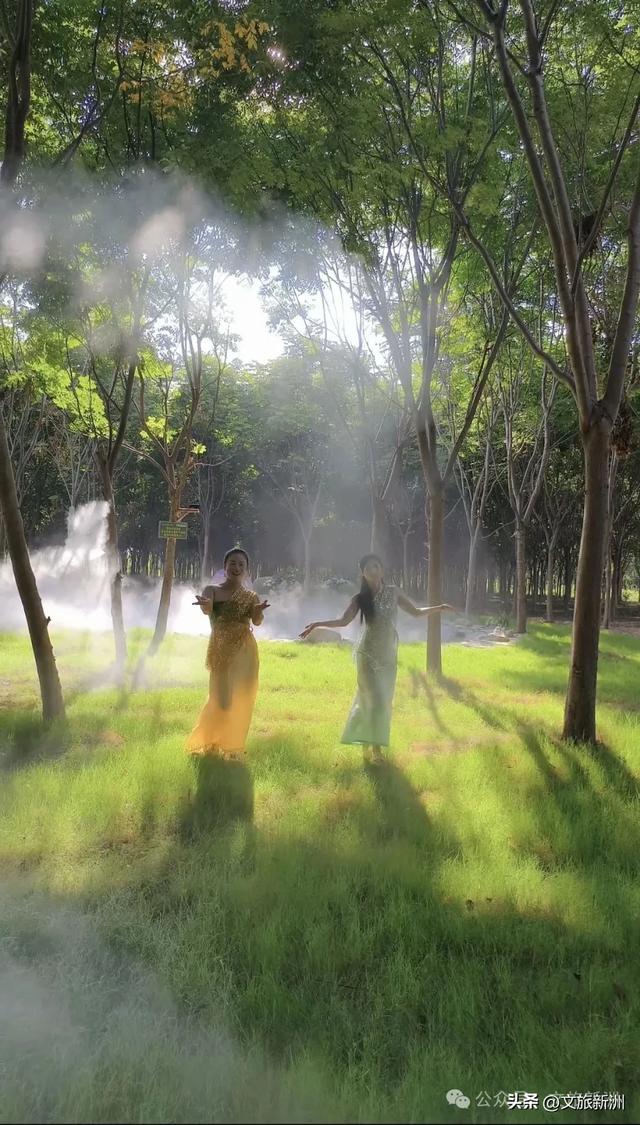 新洲宝藏营地上线!溯溪摸鱼×丛林穿越×星空烧烤,一站式撒野攻略→