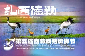 生灵万物 和谐共生——“光影力量”第五届西藏网络影像节投稿作品图片