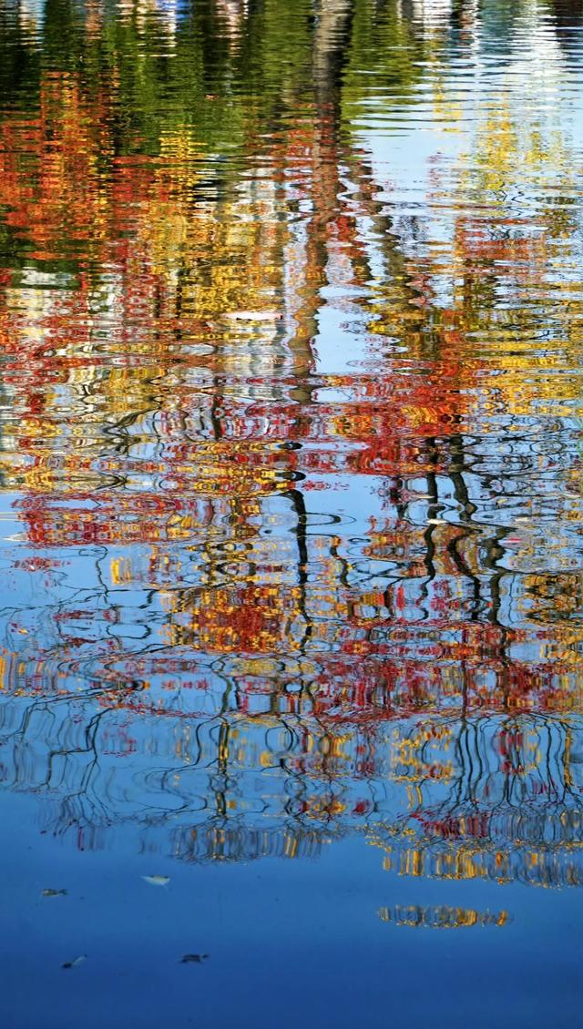 这就是南京秋天的海 ​