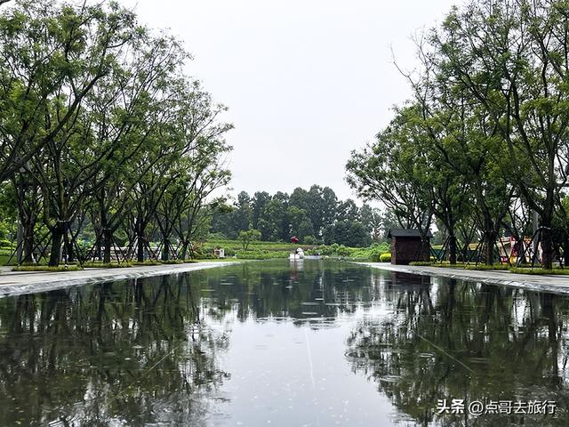 成都，最不可小看的公园，雨中超美，凉风阵阵，公共交通直达！