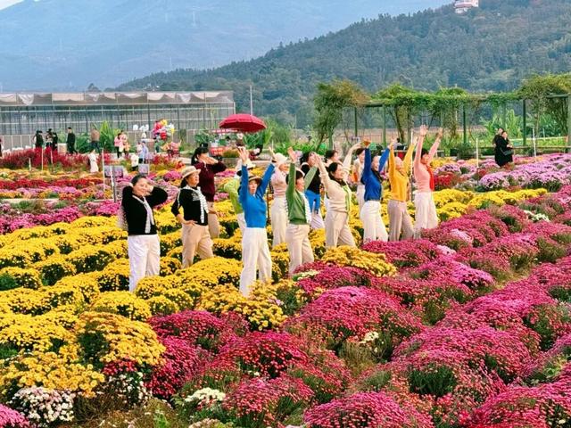 惊艳！三明这片花海已到最佳观赏期！错过又要再等一年