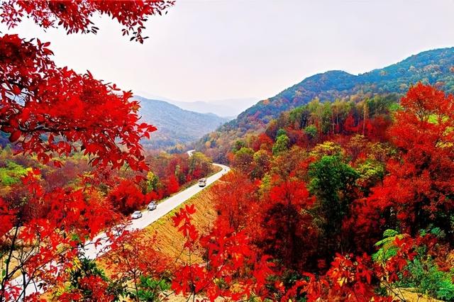 错峰出游！携程认证吉林赏秋景点TOP20！