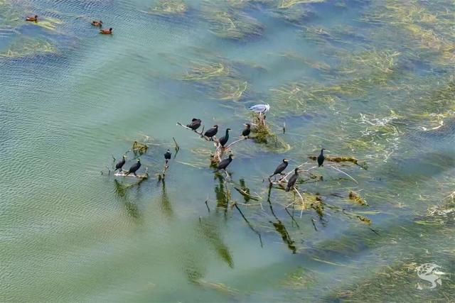 吴江开通专线！带你追“顶流”！