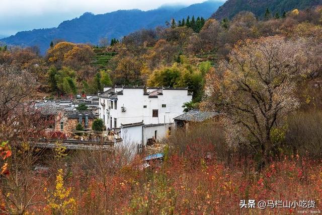 秋游，来安徽塔川 | 绝美秋色打卡攻略！