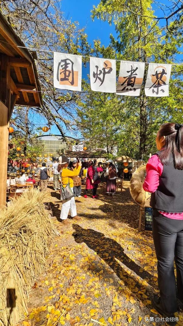 千年银杏染醉腾冲秋——走进“中国银杏第一村”