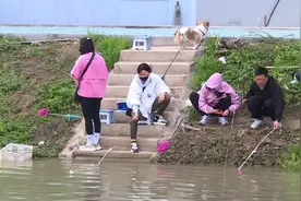 应城义和：小龙虾“钓”火亲子游图片