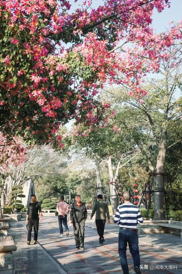 冬日暖阳里，来丰泽这儿享受惬意时光