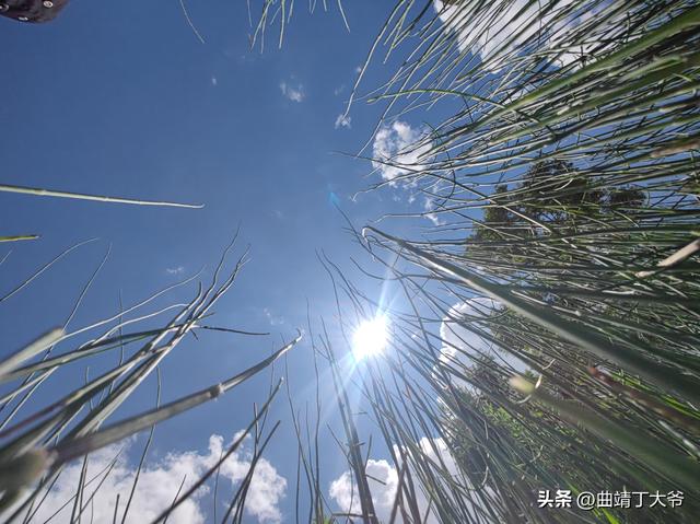 曲靖免费游玩的水乡，去了你才知道有多美