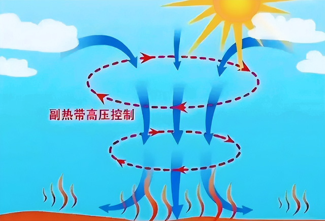 立秋后就凉快了？40高温消失了？专家：未来气候或比当下更严重.