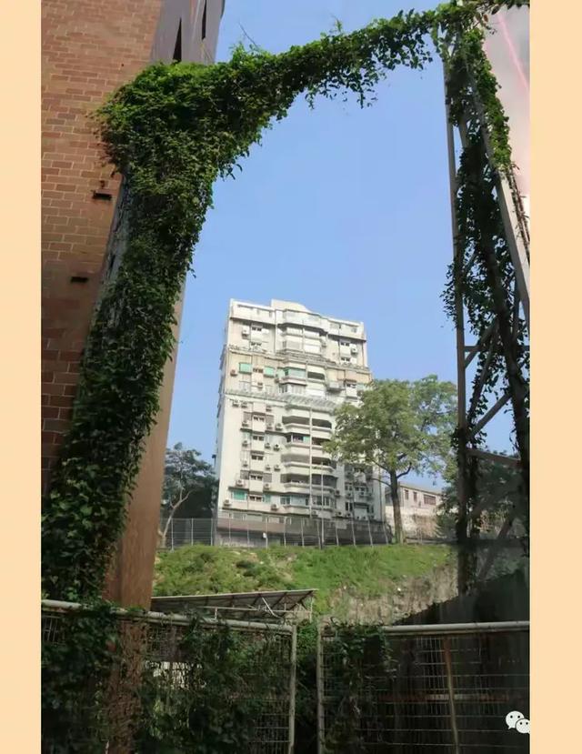 Hello 你好，澳门！【中】