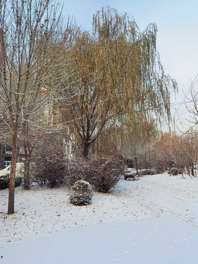 漫步黄河之滨幽静的小路